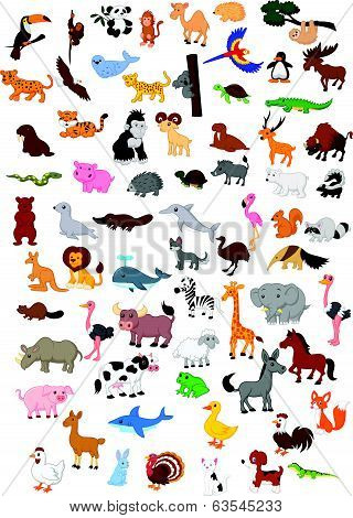 Big animal cartoon set