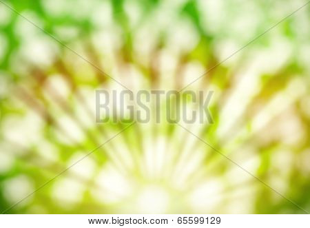 Abstract Summer Background With Sunlight