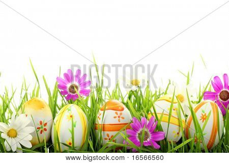 Row of Easter Eggs with Daisy on Fresh Green Grass