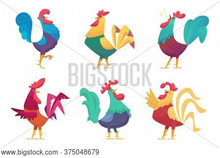 Rooster Cartoon. Chicken Farm Male Birds With Colored Feathers Vector Characters In Different Poses.