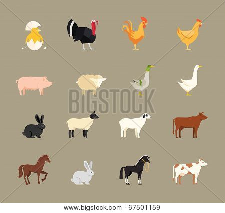 Farm animals set in flat style