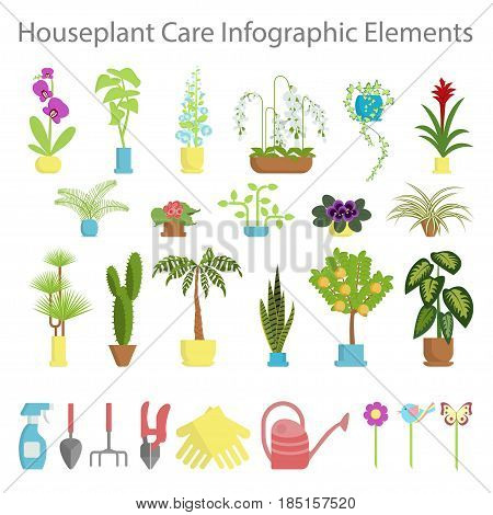 Window gardening infographic elements. Equipments for take care of indoor flowers. Vector set of flat illustration of horticultural sundry, house plants and flowers in pots. EPS 10