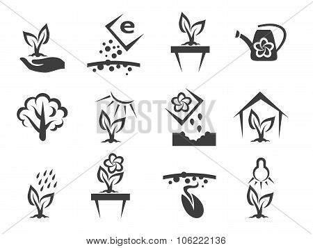 Plant and sprout growing vector icons set