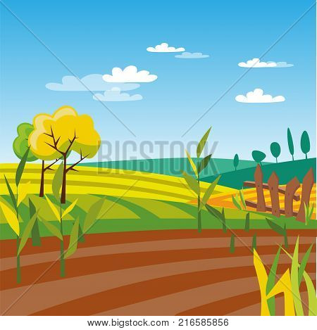 Cultivated agriculture field, rural landscape vector Illustration, web design