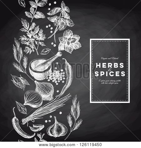 Vector background with hand drawn herbs and spices. Organic and fresh spices illustration. Chalkboard. Border.Repeating background.