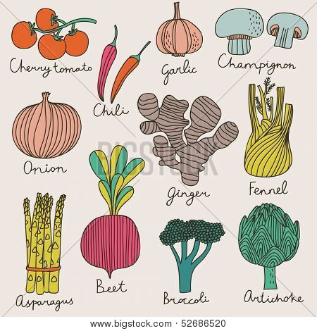 Tasty vegetables in bright set - cherry tomato, chili, garlic, champignon, onion, ginger, fennel, asparagus, beet, broccoli, artichoke. Vegetarian concept collection in cartoon style