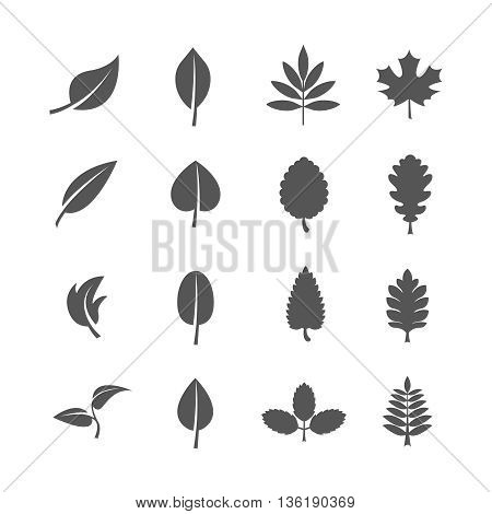 Leaves vector icons set. Leaf natural icon, sign leaf eco, organic leaf illustration