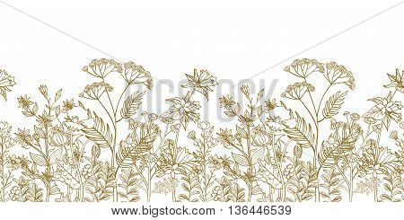 Seamless vector floral border with black white hand drawn herbs and wild flowers. Pattern endless with blossom flowers. Floral seamless border with flowers illustration