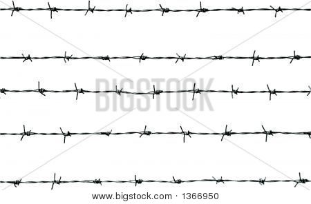 Barbed Wire