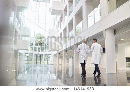 Rear View Of Doctors Talking As They Walk Through Hospital