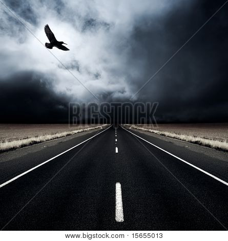 A bird flies away from an incoming storm