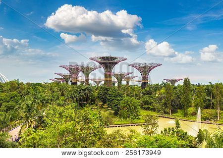 Gardens By The Bay In Singapore