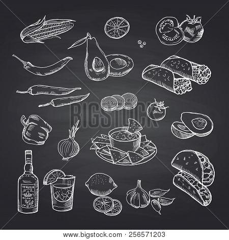 Vector Sketched Mexican Food Elements Set On Black Chalkboard. Illustration Of Mexican Food, Burrito