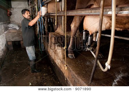 Milking Machine