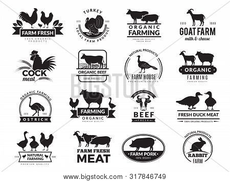 Farm Animals. Business Logo With Domestic Animals Cow Chicken Goat Healthy Food Symbols Vector Farm 