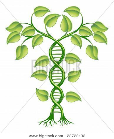 Dna Plant Concept