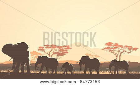 Horizontal Illustration Of Wild Animals In African Sunset Savanna.