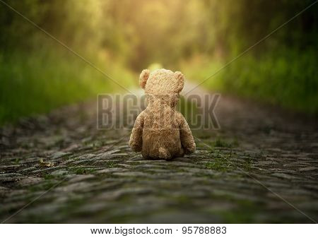 Lonely Teddy Bear On The Road