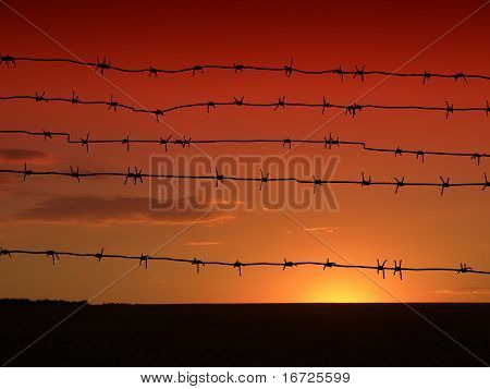 Barbed wire on the sky background.