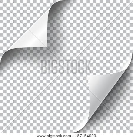 Curly Page Corners set. Realistic illustration with transparent shadow. Ready to apply to your design. Graphic element for documents, templates, posters, flyers. Vector illustration.