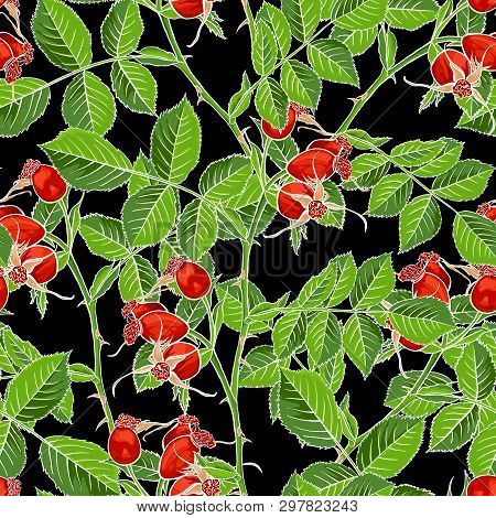 Dogrose Seamless Pattern, Luxury Wild Briar Rose. Rosehip Romance Fabric Textile Design With Black B