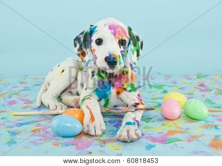 Easter Dalmatain Puppy