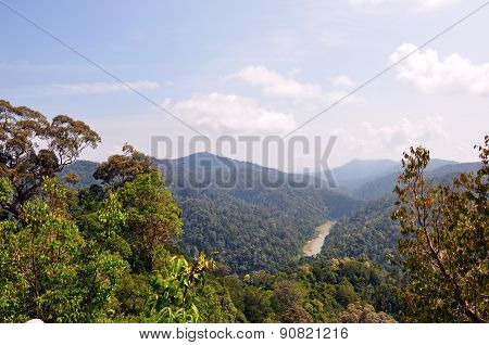 View of Pahang National Park