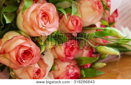 Beautiful Rose Flower In Garden. Rose Flower Background. Roses Flower Texture. Lovely Rose. Roses In