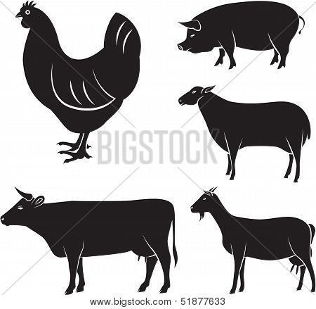 farm animals