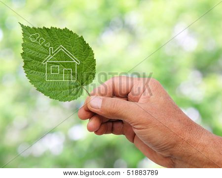 Eco House Concept ,hand Holding Eco House Icon In Nature