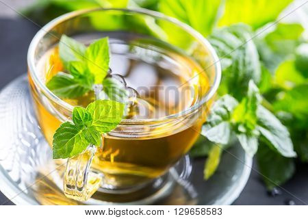 Tea. Mint Tea. Herbal tea. Mint leaf. Mint leaves. Tea in a glass cup mint leaves dried tea sliced lime. herbs tea and mint leaves on a slate plate in a restaurant or teahouse tea room