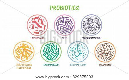 Set Of Probiotic Bacteria. Good Bacteria And Microorganisms For Human Health. Microscopic Probiotics