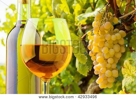 White Wine And Grapes