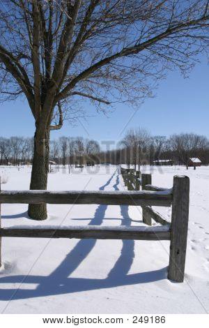 Winter Fence Line