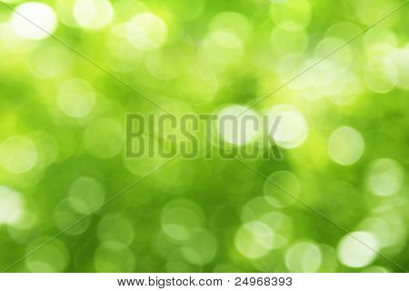 Natural green blurred background.