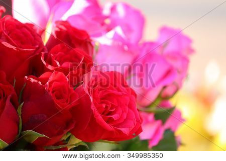 Close Up Of Three Red Roses With Blur Pink Roses Background In Street Rose Flowers Market, Rose Flow