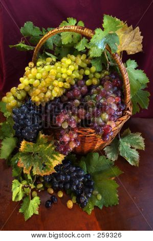 Basket With Grapes