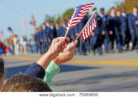 Flags at Veteran's Day Parade