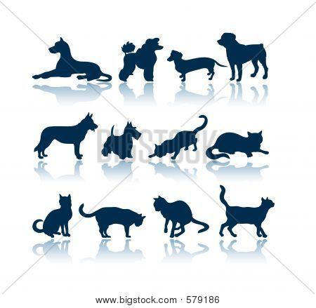 Dogs And Cats Silhouettes