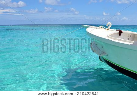 Georgetown, Grand Cayman, Cayman Islands. Swimming with stingrays in the clear and turquoise waters of the Caribbean Sea.