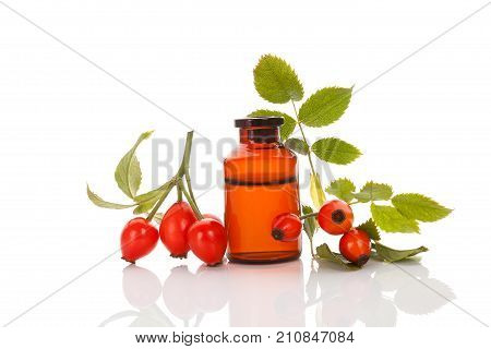 Rose hip. Medicine bottle with hip roses isolated on white. Fresh briar isolated on white background. Wild rose.