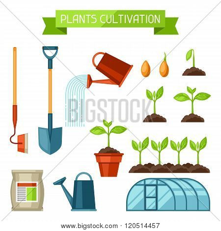 Set of agriculture objects. Instruments for cultivation, plants seedling process, stage plant growth