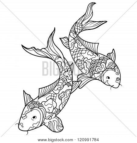 Koi carp fish coloring book for adults vector