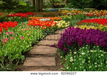 Stone path  winding in a garden