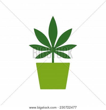 Marijuana Or Cannabis Plant In A Flower Pot. Cultivation Of Cannabis. Marijuana Leaf Icon Logo Templ