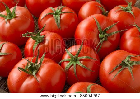 red tomatoes background. Group of tomatoes