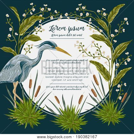 Heron bird and and swamp plants. Marsh flora and fauna. Design for banner, poster, card, invitation and scrapbook. Botanical vector illustration in watercolor style