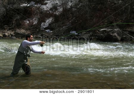 Fly Fisherman