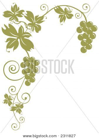 Bunches Of Grapes And Leaves