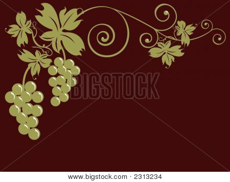 Bunches Of Grapes And Leaves